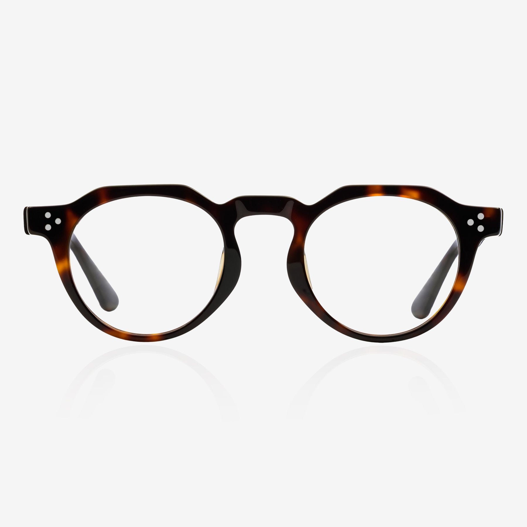 Oxford Tortoise