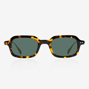 Orien Tortoise