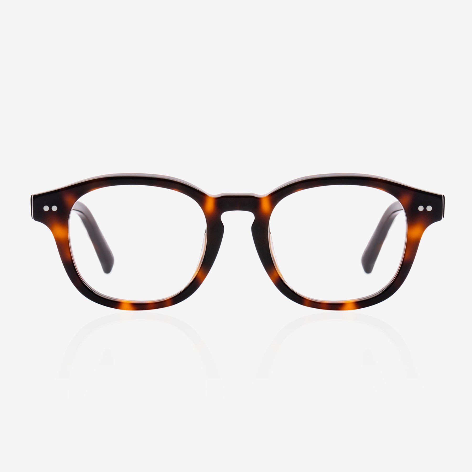 Cove Tortoise Optical